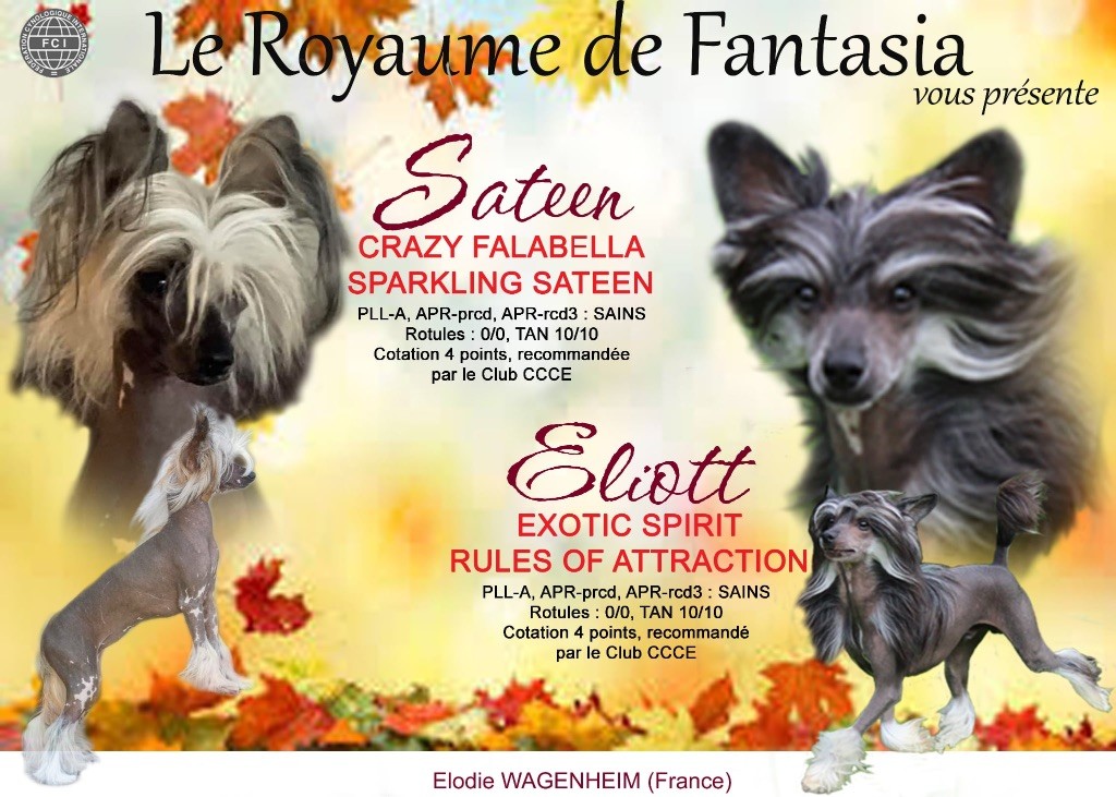 Du Royaume De Fantasia - sa swing a la maison !!! 