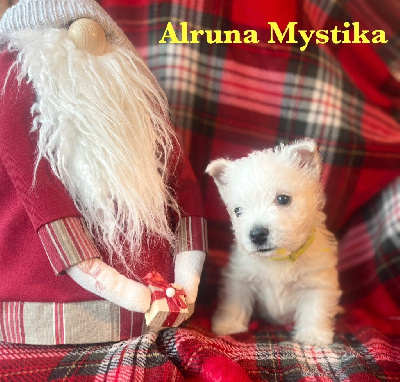 alruna mystika